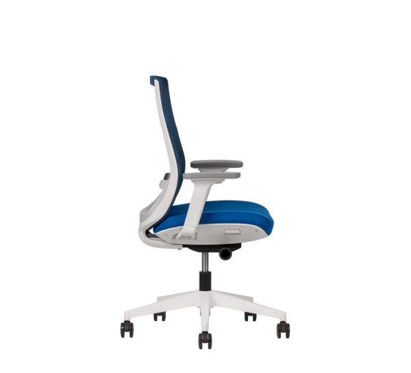 Polar RB - Image 4
