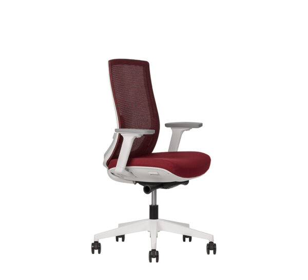 Polar RB - Image 7