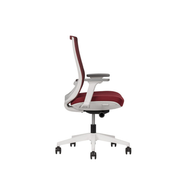 Polar RB - Image 8